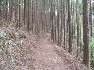 二ノ瀬ユリはこのようなゆるやかな道がつづきます。
