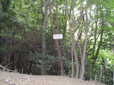 ここを左へ行けば、横峯峠。
ということで、右の高塚山へ進路をとります。