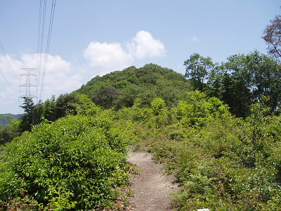 開けた道に出ると逢坂山山頂が見えてきました。
このあたりもそうですが、住宅街からほとんど離れていないのに、周りは山しか見えません。国道が近いので道路の音がしますが、そればなければ、突然連れてこられたら、山深いところと思ってしまうかもしれません。