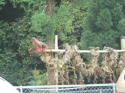 小山の伝承の大蛇