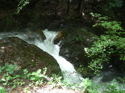 梅雨で昨日も降ったので水量が多く、怒涛のように流れていました。そのため、空気がひんやりとしていて、涼しかったです。