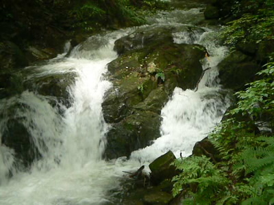 夫婦喧嘩のような激しさです。