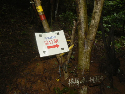 2010/07/04 12:10:15 大宅への分岐