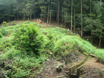 2010/07/04 12:12:56 休息地