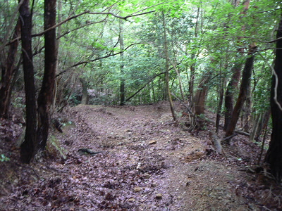 2010/07/04 12:50:05 下り道