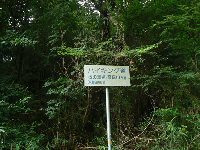 2010/07/04 13:11:04 看板