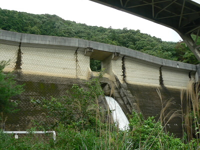 コース出口から降りてみあげたダムです。
その上の道が「音羽の杜」の道です。