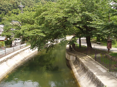 春には桜の名所となる疏水。
初夏は緑の小路となる疏水公園。