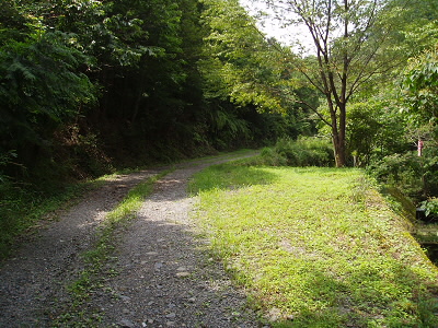 2010/07/10 13:30:09 林道