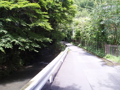 毘沙門の左の道を進みます