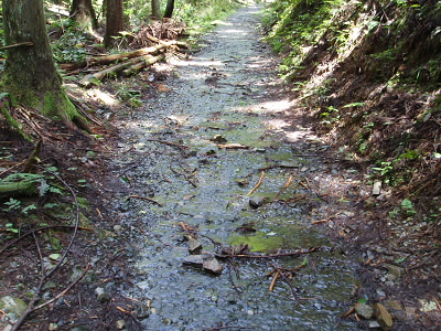 2010/07/17 10:58:05 山道
