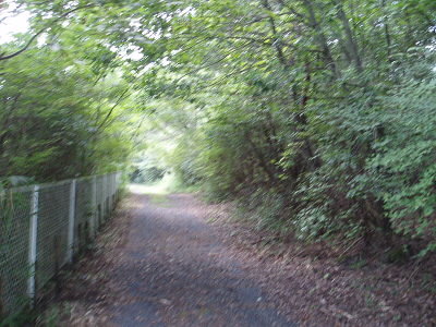 工場横の登山道。