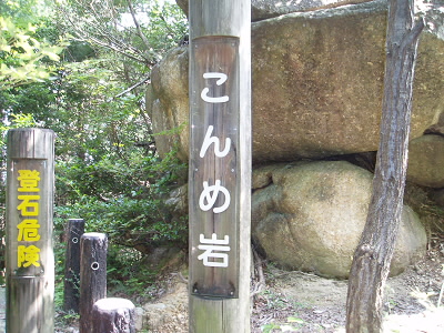 どないしたら、ここに岩があるねんという感じの巨石です。
あえんぼといいこのこんめといい、どういう意味なんでしょうか。
----------------------------------
「あえんぼ」で検索したら、花の名前で竜王町の花でした。