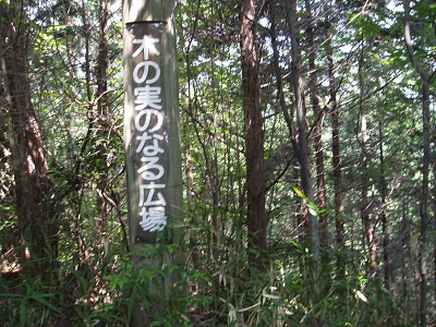 2010/07/24 10:06:27 木の実のなる広場