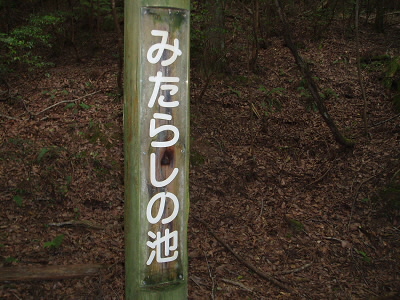 2010/07/24 10:13:57 みたらしい池