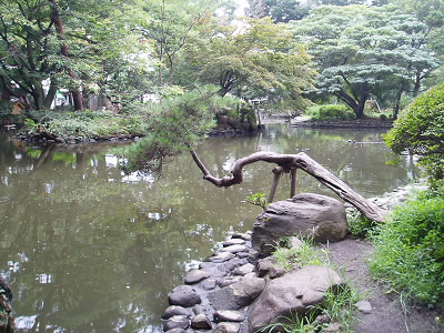 一般公開されているので、多くの方が散策されていました。
