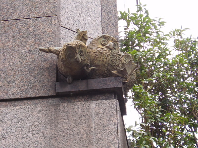 梟のひな