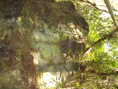 登り始めて、最初の方のデッカイ岩です。
これが「天狗の爪砥ぎ岩」か？
誰か、わかるように道標でもつけてください。