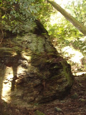 2010/10/03 12:24:18 天狗の爪砥ぎ岩