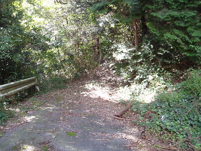 長等山トンネル排気塔の後ろから、山に入ってみます。