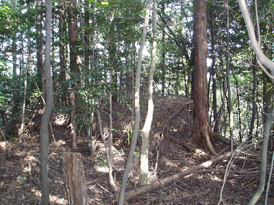 2010/10/16 10:50:23 長等山山頂か？