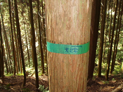 2010/10/16 11:17:10 大文字へ