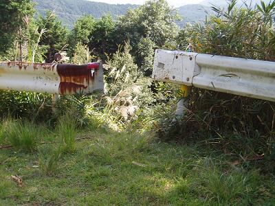 ガードレールの間に出てきました。
ガードレールには、三井寺へとあります。