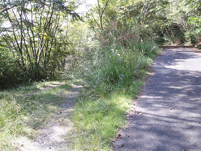 2010/10/16 11:29:34 林道へ