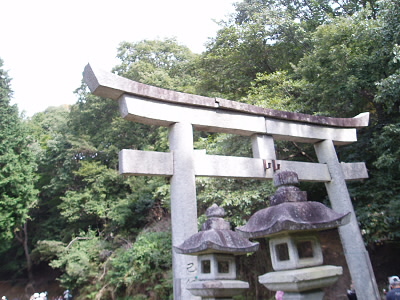 石の鳥居で昼食
この鳥居をくぐって、無動寺川方面へ行けば、一本杉の方へ行けるらしい。
瓜生山から一本杉への道を比叡アルプスというそうだ。