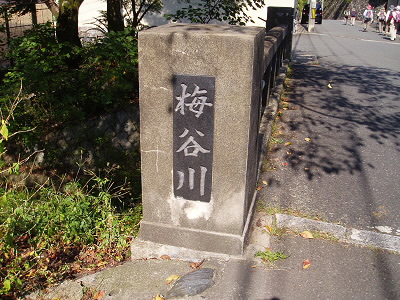 梅谷に流れている川