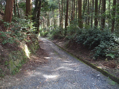 ここから三井寺の境内になるのかなぁ？
ちゃんと整備された道になります。
反対から来るとこの道は立入禁止となっています。