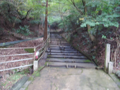 2010/10/31 11:00:51 牛尾観音　参道