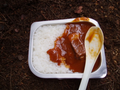 2010/10/31 12:18:36 シチューとご飯