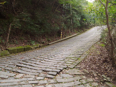 車道を登りました。