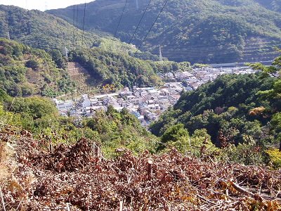 鉄塔から開けていて、小金塚が良く見えました。