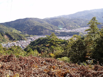 奥には稲葉台が見えています。