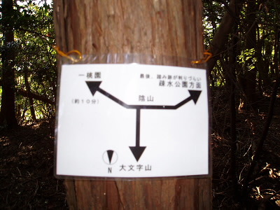 ここを曲がって一灯園に抜けます。
ここから１０分となっていますが、１０分では鉄塔で結局抜けるのに２０分かかってしまいました。