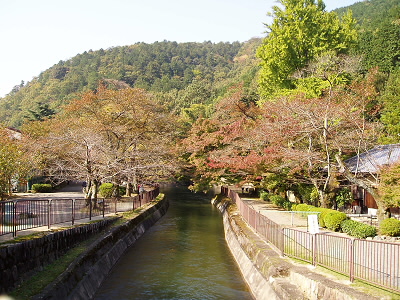 春は桜がきれいです。