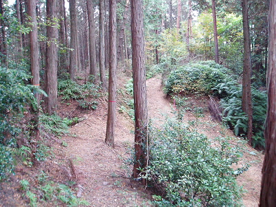 山道から林道へ出口です。