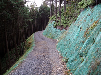 とても整備されており、山の奥とは思えません。