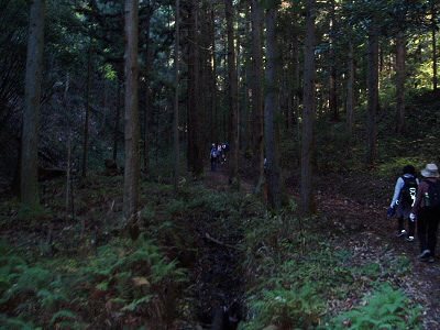 2010/11/21 10:19:08 ジャリ池へ