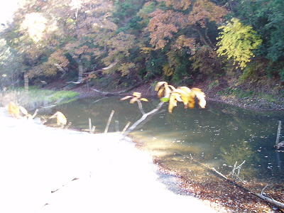 2010/11/21 10:30:36 ジャイ池