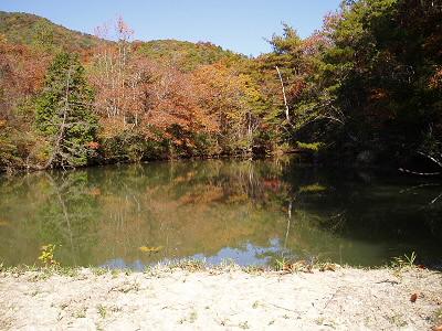 村上中池です。
