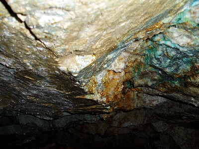 2010/11/21 10:58:23 青山間歩