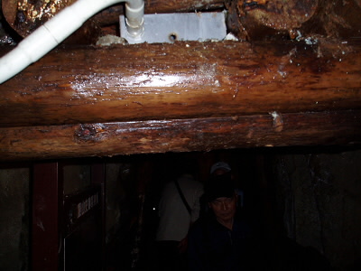 2010/11/21 10:58:29 青山間歩