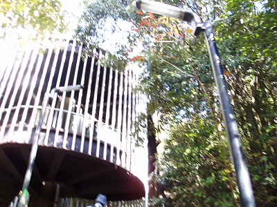 2010/11/21 11:31:46 らせん階段