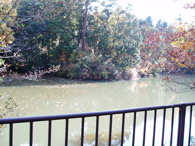 2010/11/21 13:31:36 うぐいす池