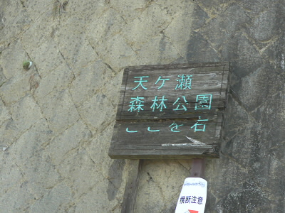 2010/12/05 10:14:01 森林公園入り口