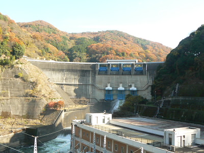 放水されていました。
