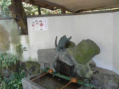 2010/12/05 13:16:57 うさぎの手洗い